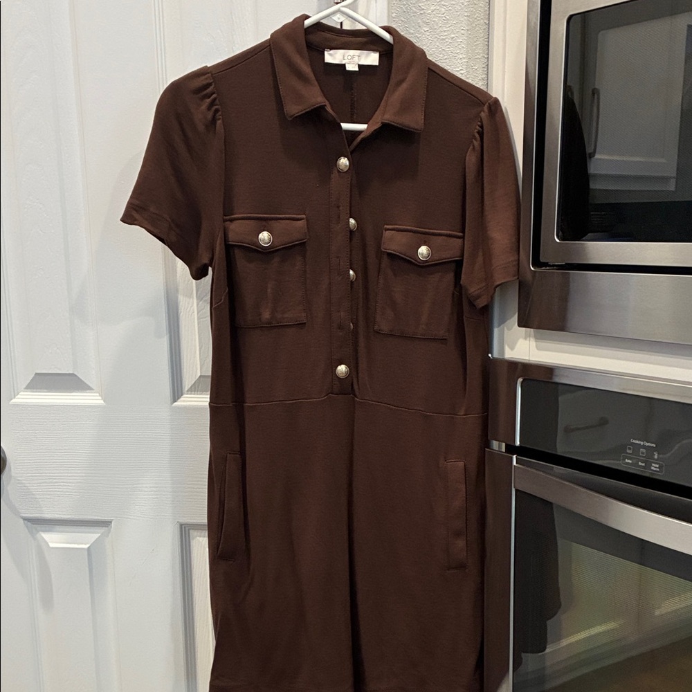 Loft Chocolate Brown Dress